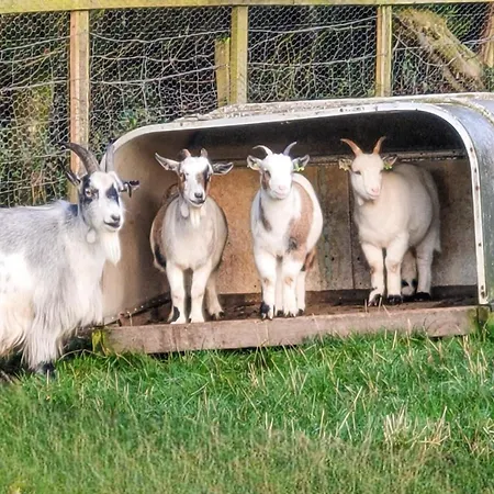 Bondcroft Farm *